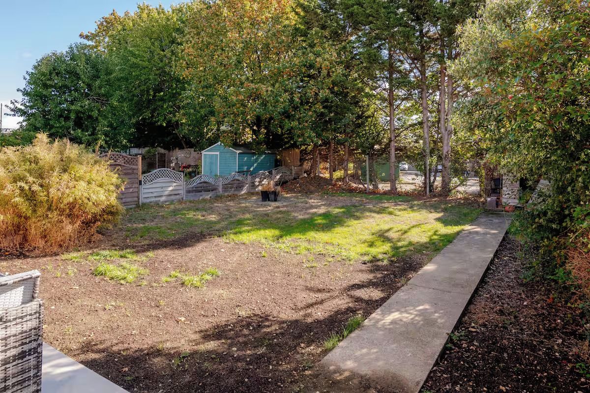 A backyard with a paved pathway, a small shed, and a variety of trees and shrubs.