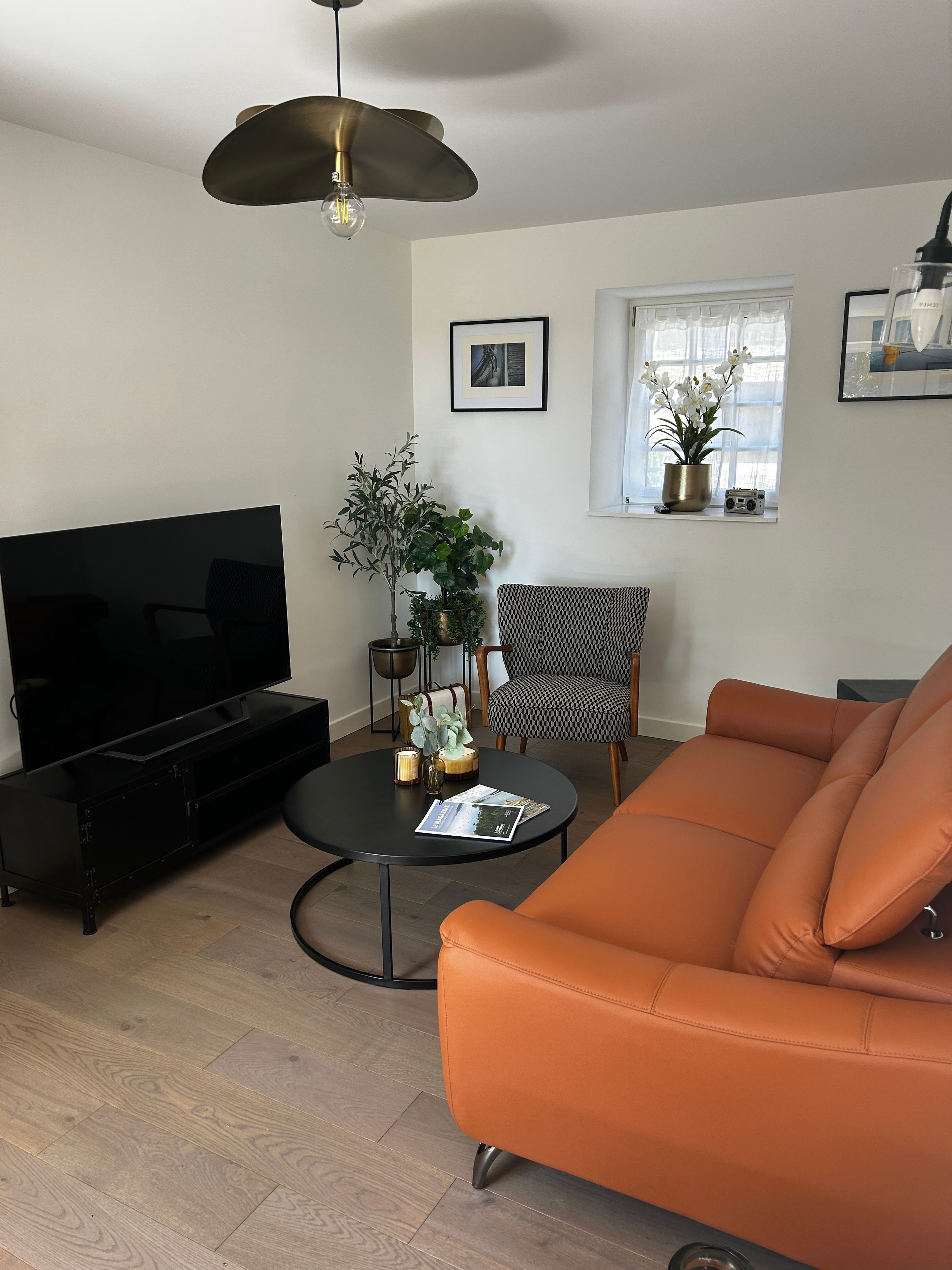 A living room with a black entertainment unit, a black coffee table, an orange sofa, a black and white patterned chair, and a potted plant.
