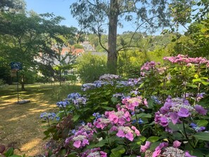 Un jardin agrémenté de fleurs d’hortensia et équipé d’un panier de basket.