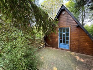 Une cabane en bois avec une porte bleue, entourée d’un feuillage dense.