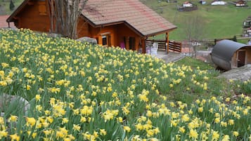 En træhytte med veranda, omgivet af en mark med gule blomster.
