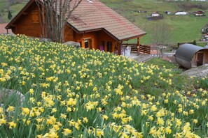 Une cabane en bois dotée d’un porche, entourée d’un champ de fleurs jaunes.