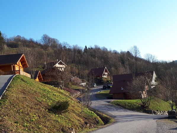 Une route de campagne bordée de maisons en bois, située sur le versant d’une colline et entourée d’arbres et de verdure.