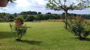 Um campo gramado com uma árvore e um arbusto em primeiro plano.