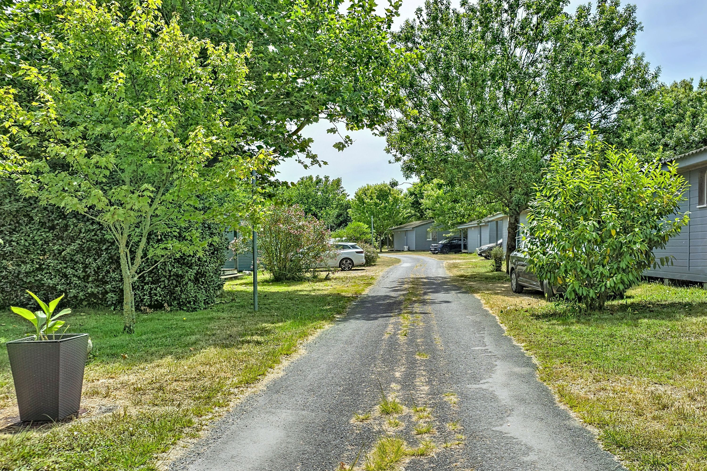 A gravel driveway leading to a row of single-story houses with a grassy area on either side.