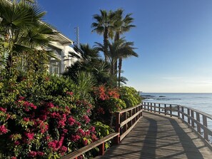 Un camí de fusta que condueix a una platja amb vegetació exuberant i palmeres.