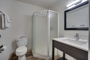 A bathroom with a toilet, a shower enclosure, and a sink with a mirror. - 1625 French Camp Turnpike (Stockton)