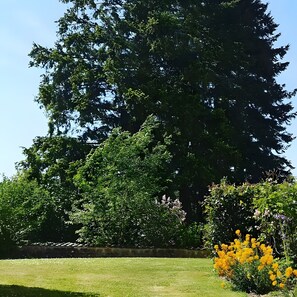 A large tree in a well-maintained grassy area. - Bed and Breakfast 'Ma Boheme' with Shared Pool, Shared Terrace and Wi-Fi (Tournes)