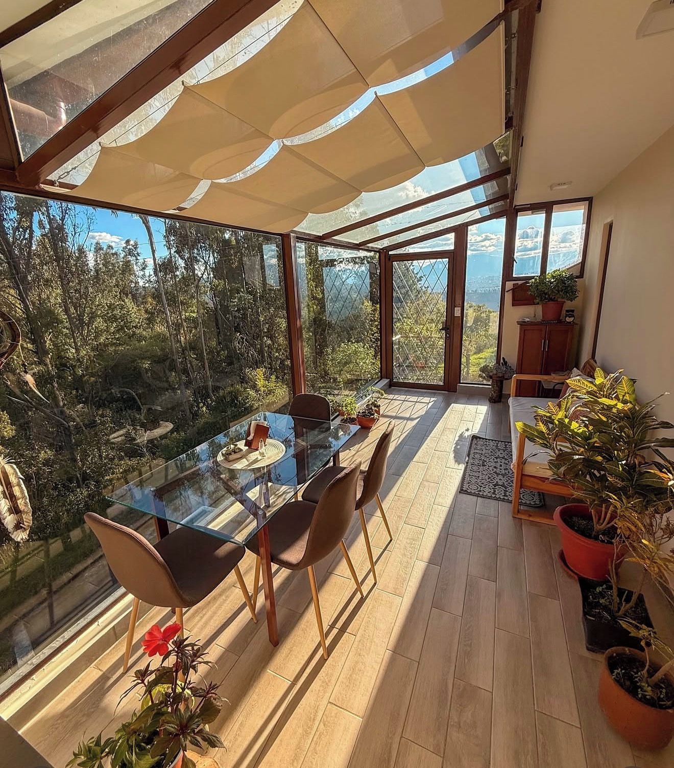 Eine sonnendurchflutete Terrasse mit einem Glastisch und Stühlen, umgeben von Topfpflanzen mit Blick auf ein bewaldetes Gebiet.