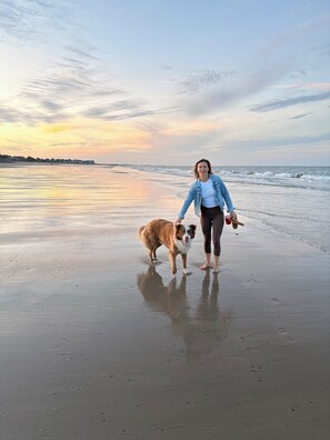 A beach scene with a person and a dog, a sunset in the background, and a calm sea. - 3-bedroom Cozy Cottage in perfect Marshfield with, fireplace & beach nearby. (Marshfield)