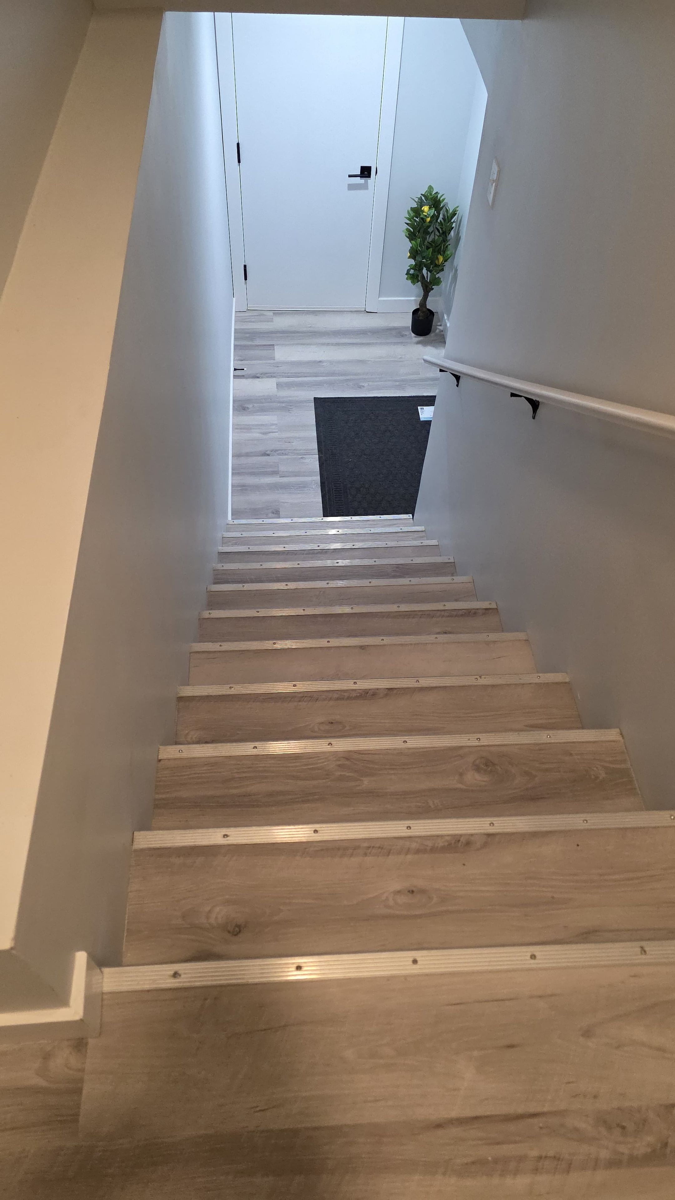 A wooden staircase with a handrail, leading to a landing with a door and a potted plant.