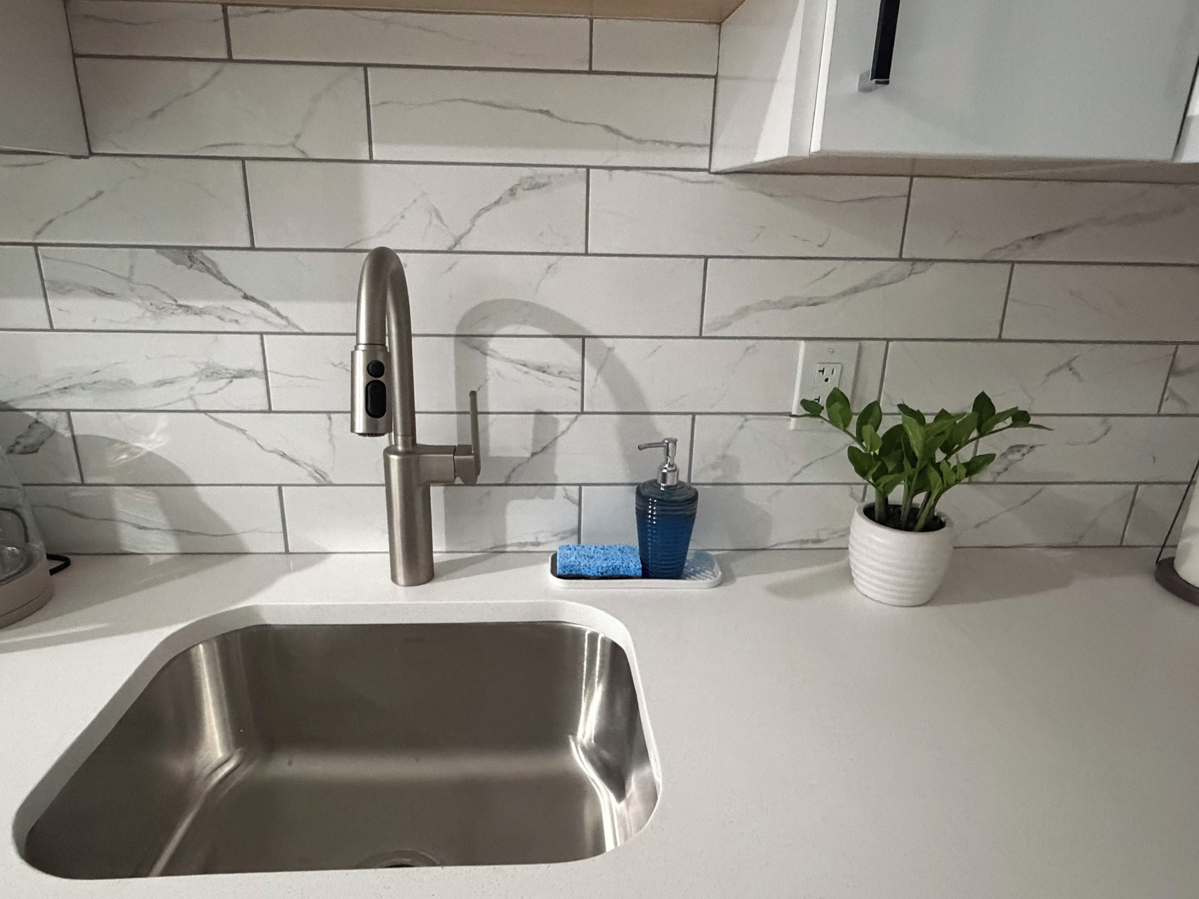 A kitchen with a stainless steel sink, a faucet, a soap dispenser, and a potted plant on the counter.
