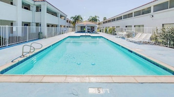 A swimming pool with a no diving sign, surrounded by a white fence, and adjacent to a building with balconies.