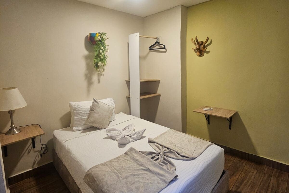A hotel room with a bed, bedside table, lamp, wall-mounted plant, coat rack, and a small shelf.