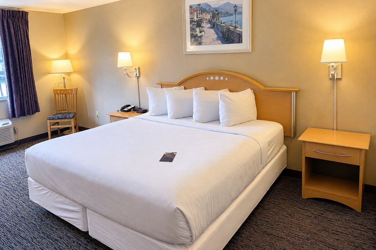 Camera d'albergo con un letto grande, due comodini, una lampada, un quadro appeso e una finestra con tende.
