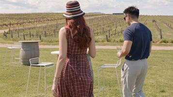 Two people walking in a vineyard with rows of grapevines and a clear sky.