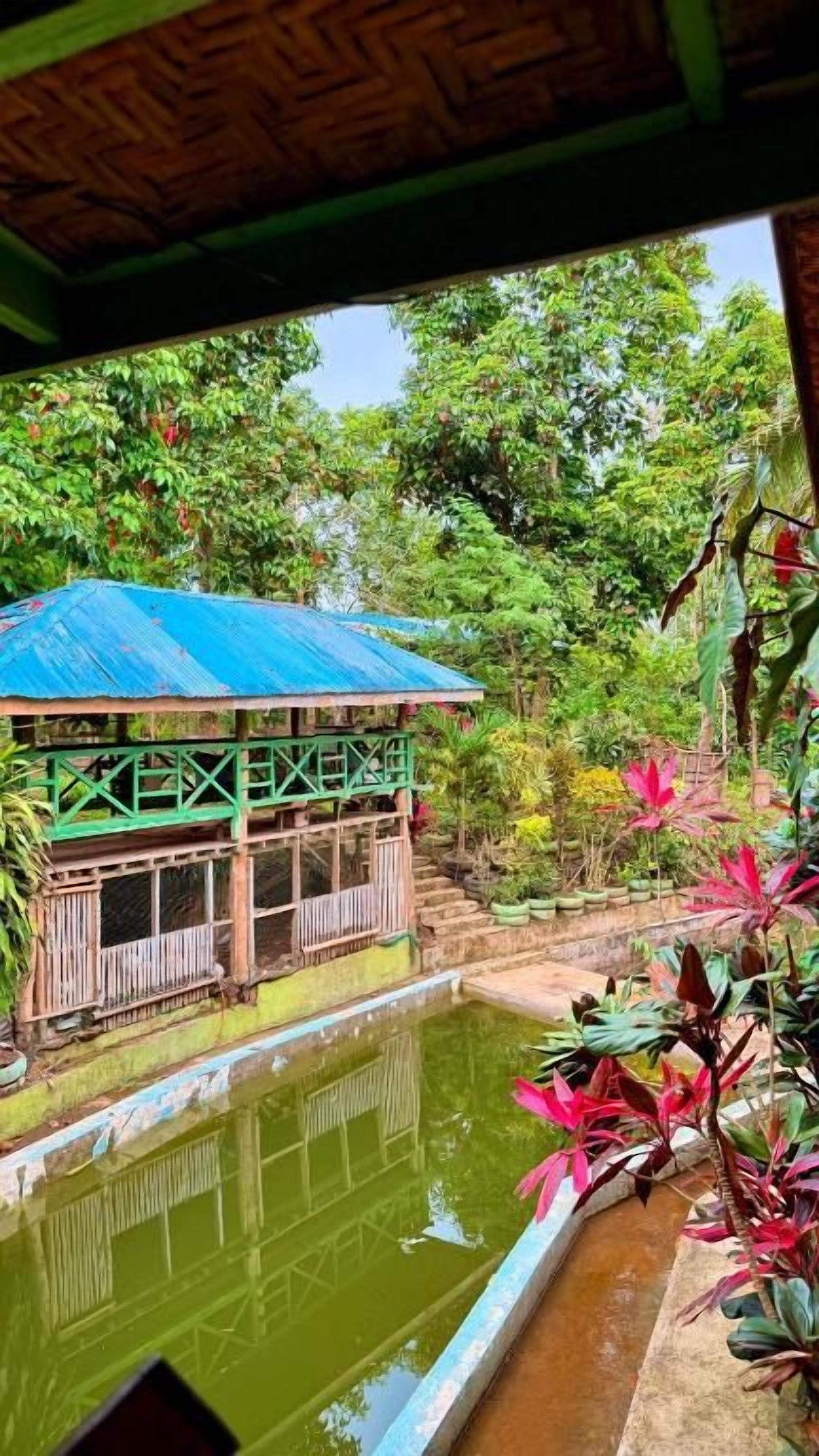 A rustic wooden structure with a blue roof, a small pond, and lush greenery.