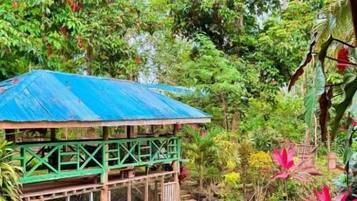 A rustic wooden structure with a blue roof, a small pond, and lush greenery.