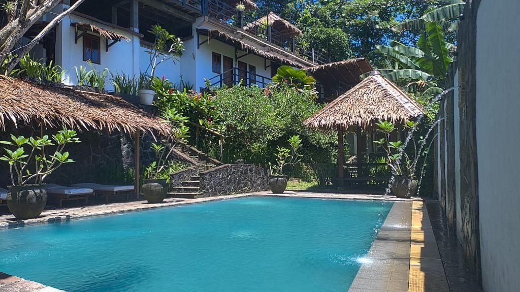 A swimming pool with a thatched-roof structure, surrounded by lush greenery and a stone wall.