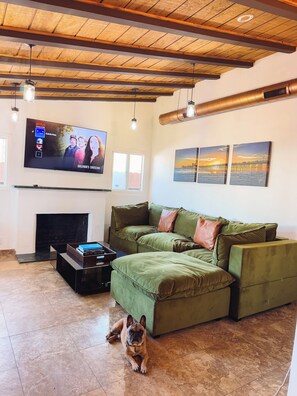 Een woonkamer met een hoekbank, een flatscreen televisie, een open haard en een hond.