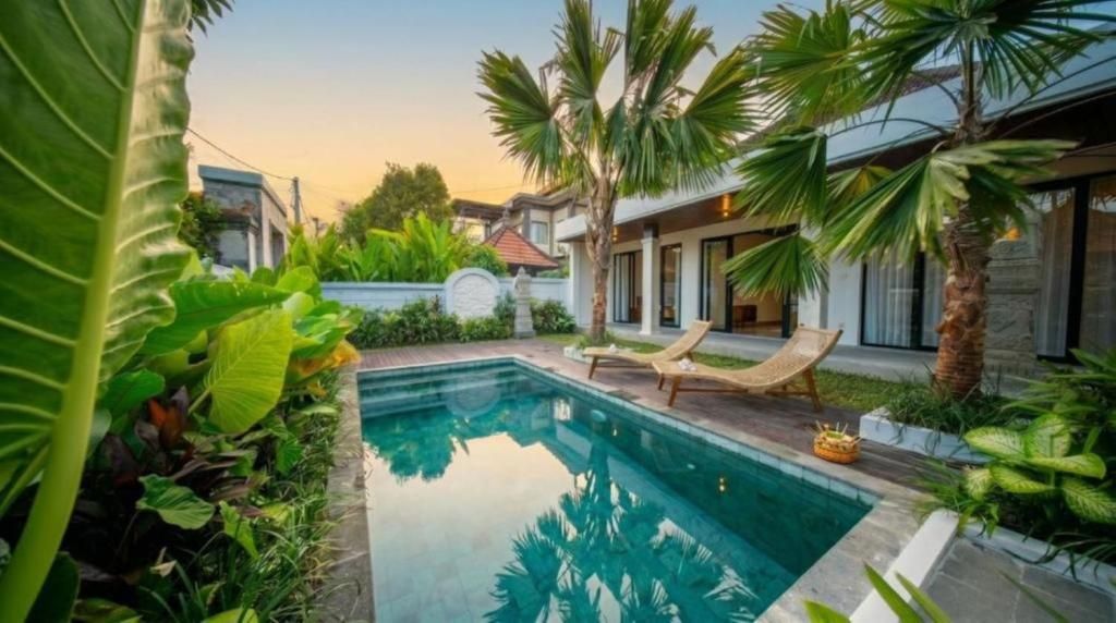 Une piscine entourée de chaises longues, de plantes tropicales et d’une maison moderne.