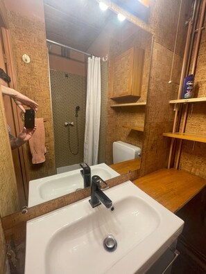 A bathroom with a white sink, a mirror, wooden cabinets, and a shower area. - New Listing (Lyon)