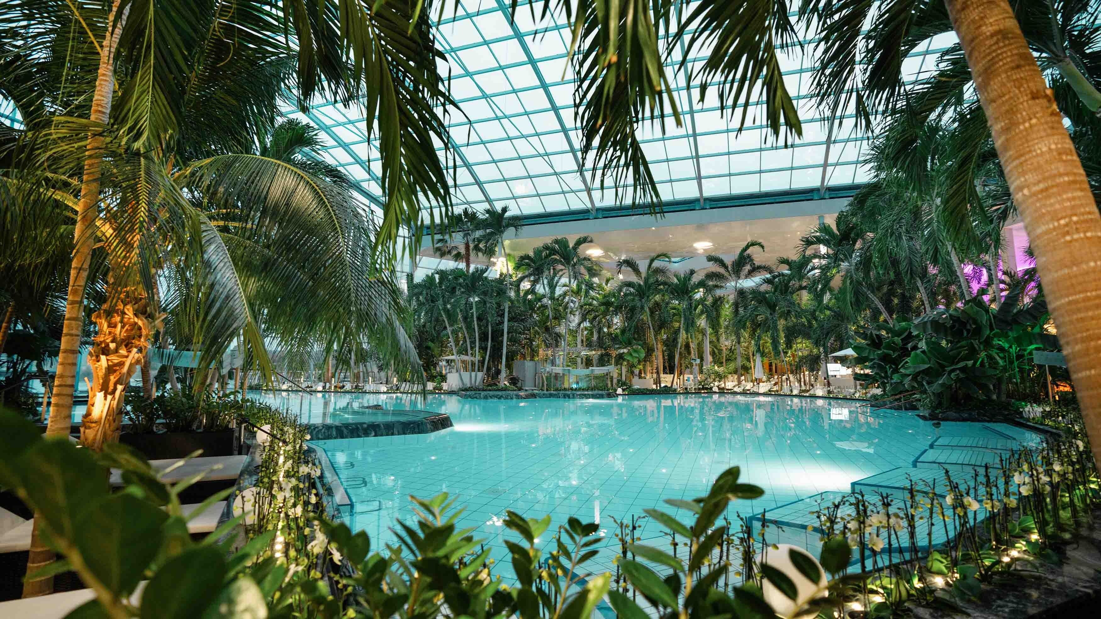 Ein Innenpool, umgeben von Palmen und tropischer Bepflanzung, mit einer Glasüberdachung.