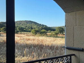 Property grounds - New Listing (Belvézet)