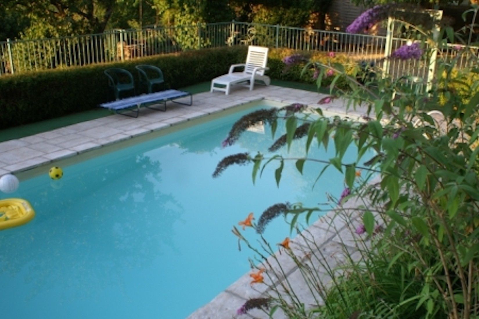 Piscina amb solera enrajolada, envoltada de verdura i una tanca metàl·lica.