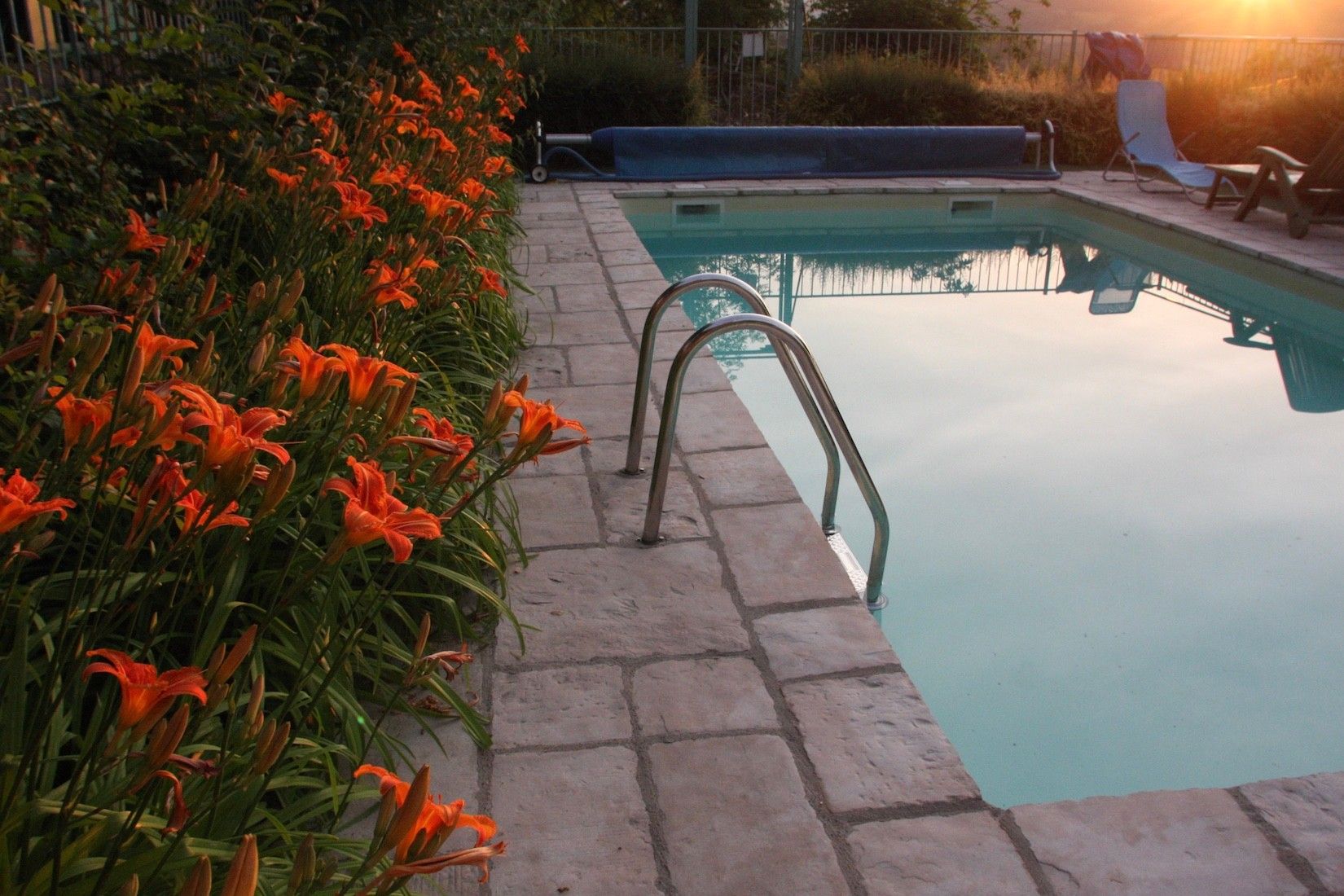 Une piscine avec un escalier en métal, entourée d’une terrasse en pierre et agrémentée de fleurs oranges.