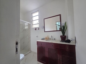 Une salle de bain avec une douche, un lavabo avec un miroir et une plante en pot.