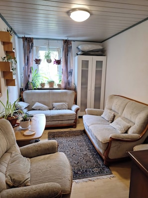 Living room - Room-charming Apartment Rental in Dünfus (Dünfus)
