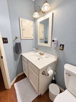 A bathroom with a sink, mirror, towel rack, toilet, and a hairdryer. - Heart of Wintergreen 1BR - Fully Stocked, Year-Round, Couples & Families (Wintergreen Resort)