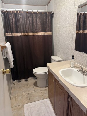 Une salle de bain avec des toilettes, un lavabo et un rideau de douche.
