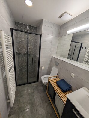 Ein modernes Badezimmer mit Duschkabine aus Glas, Toilette, Waschtisch mit Spiegel und Handtuchheizkörper.