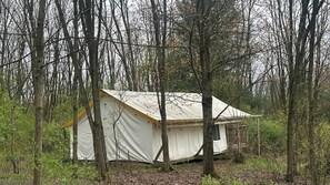 A tent-like structure in a forested area.