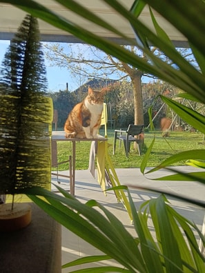 Animaux de compagnie acceptés