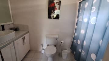 Une petite salle de bain comprenant des toilettes, un bidet, un lavabo et un rideau de douche à motifs à pois.