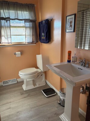 Bathroom - 2 Bedroom Notre Dame game day home in quiet neighborhood 15 minutes away (Mishawaka)