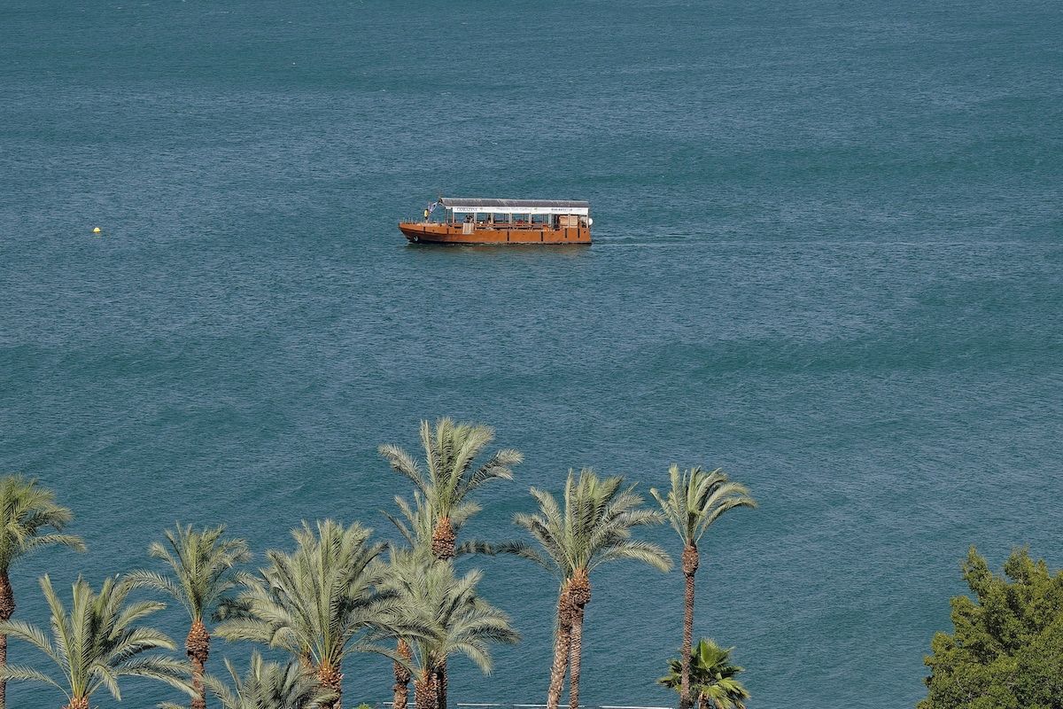 Een boot op kalm water met palmbomen op de voorgrond.