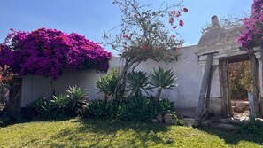 Un jardín con diversas plantas y una estructura de piedra.