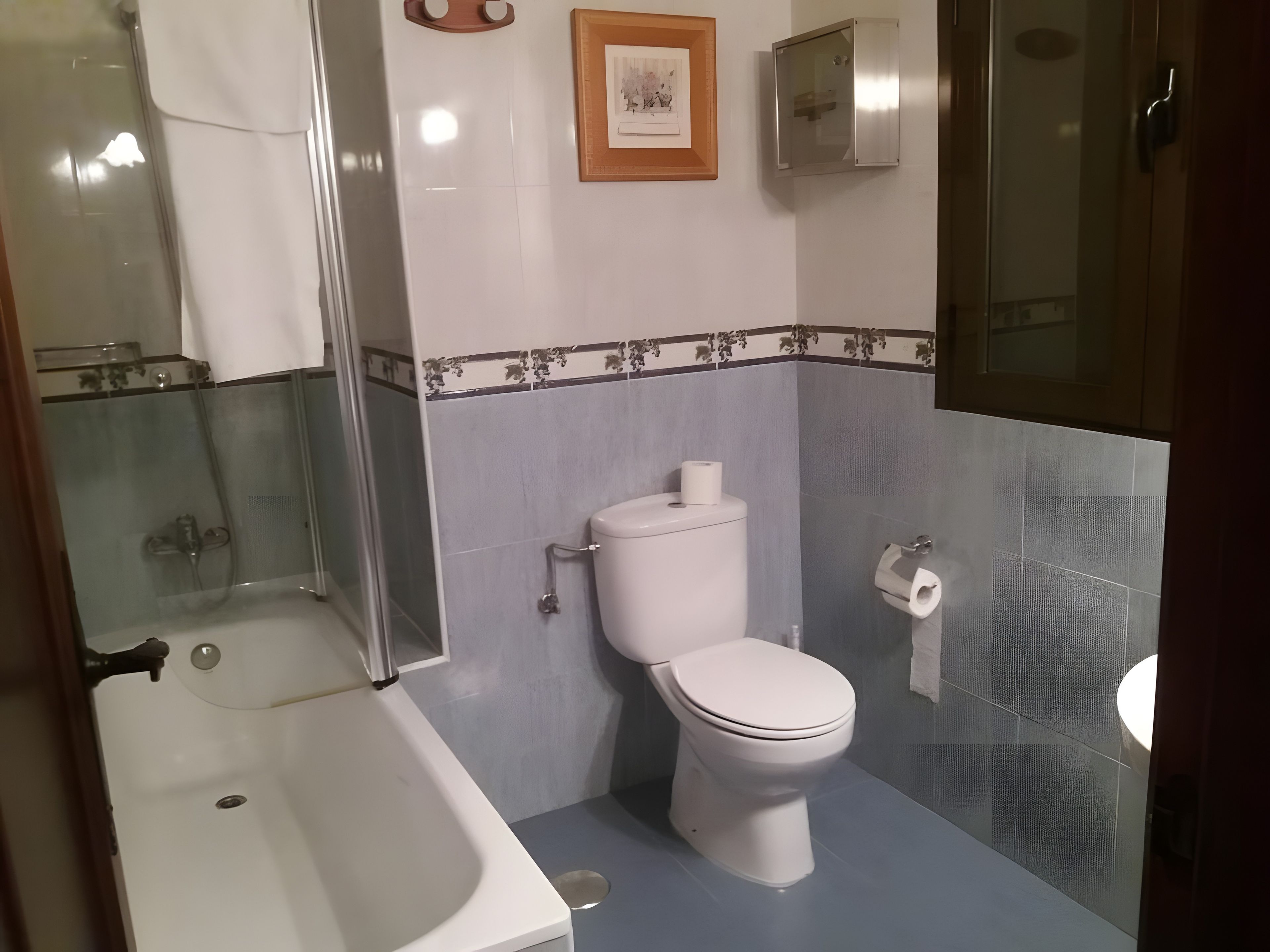 Une salle de bain avec une baignoire, des toilettes et une douche.
