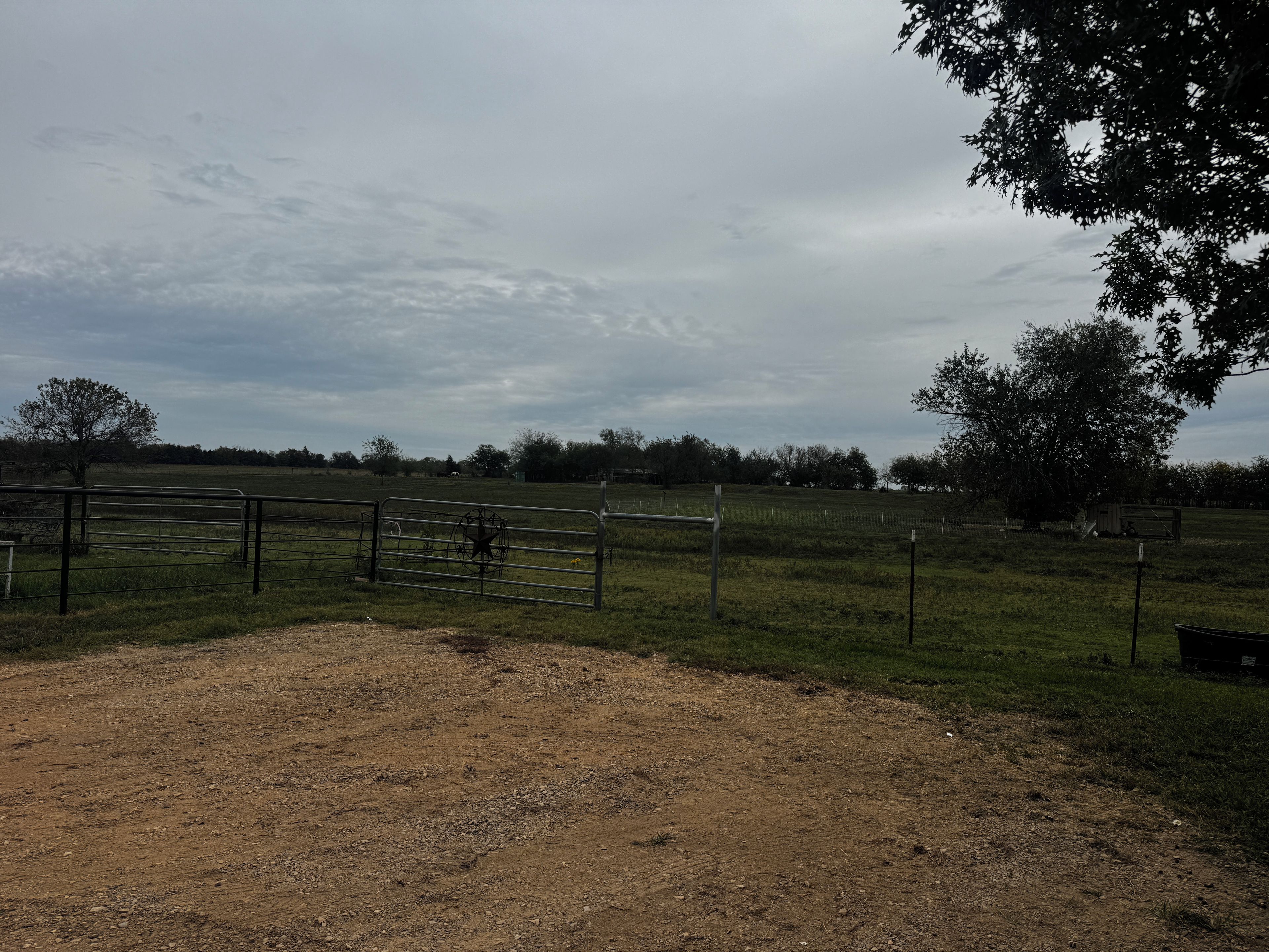 Un campo cercado con un camino de tierra que lleva a una verja.