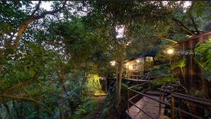 A wooden pathway leading to a building surrounded by dense foliage. - Santo Cielo by Casa Santo Domingo (Antigua Guatemala)