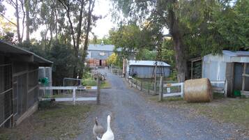 Lối vào nơi lưu trú