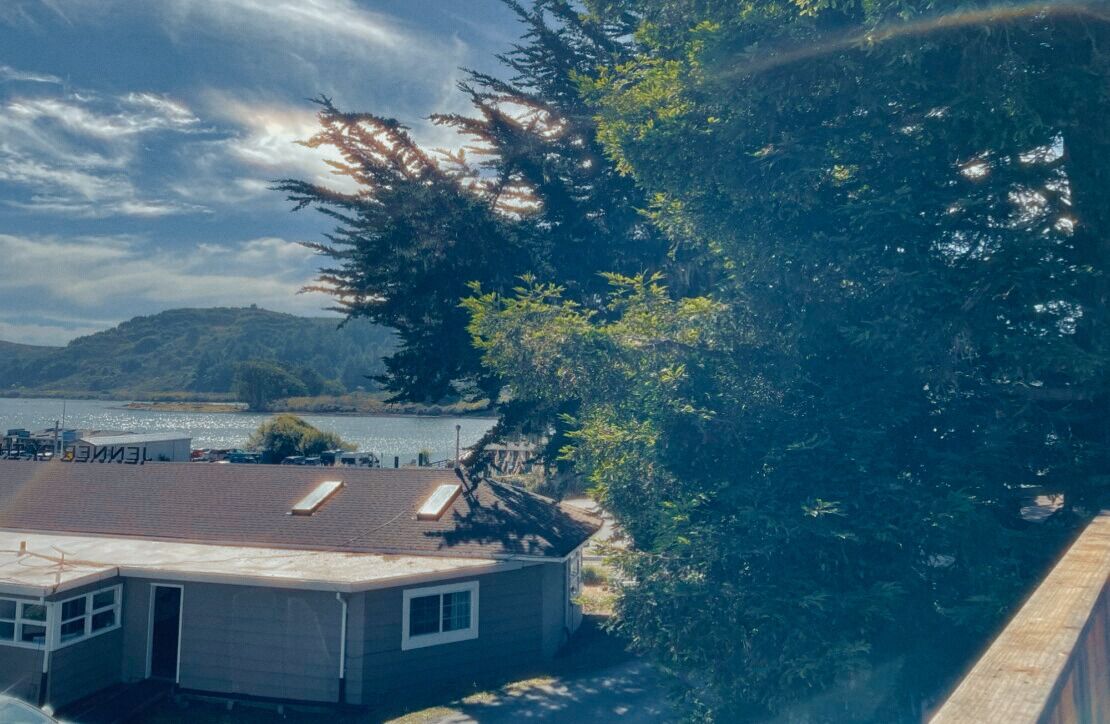 traditional cabin, 1 queen bed, garden view | terrace/patio