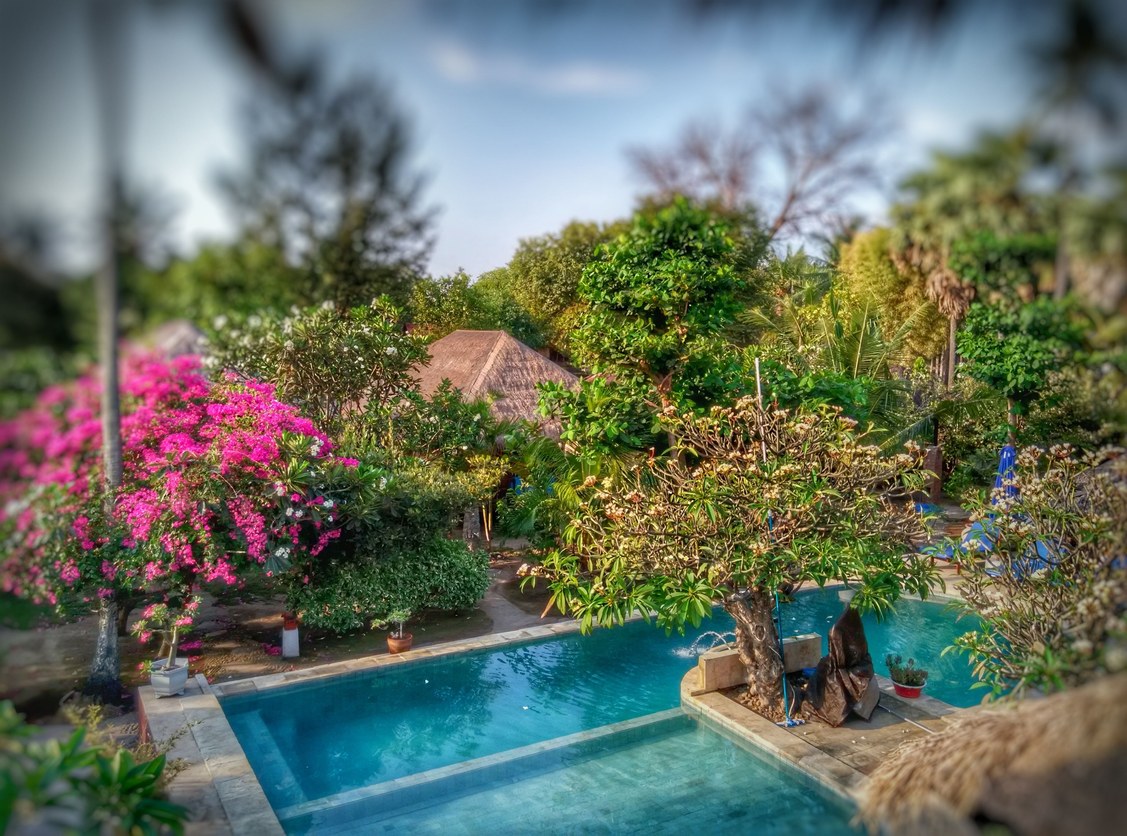 Foto - Sejuk Cottages