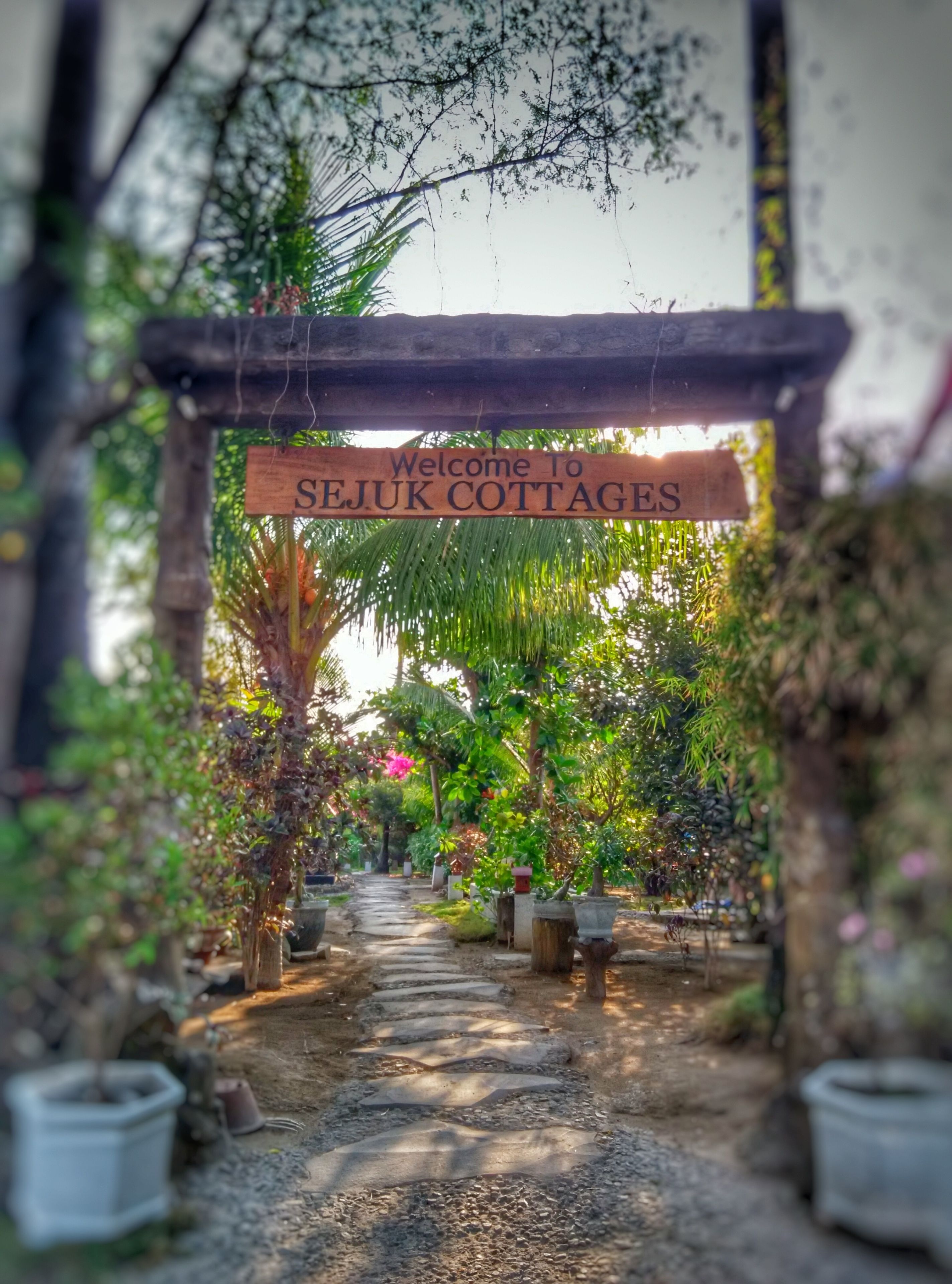 Foto - Sejuk Cottages