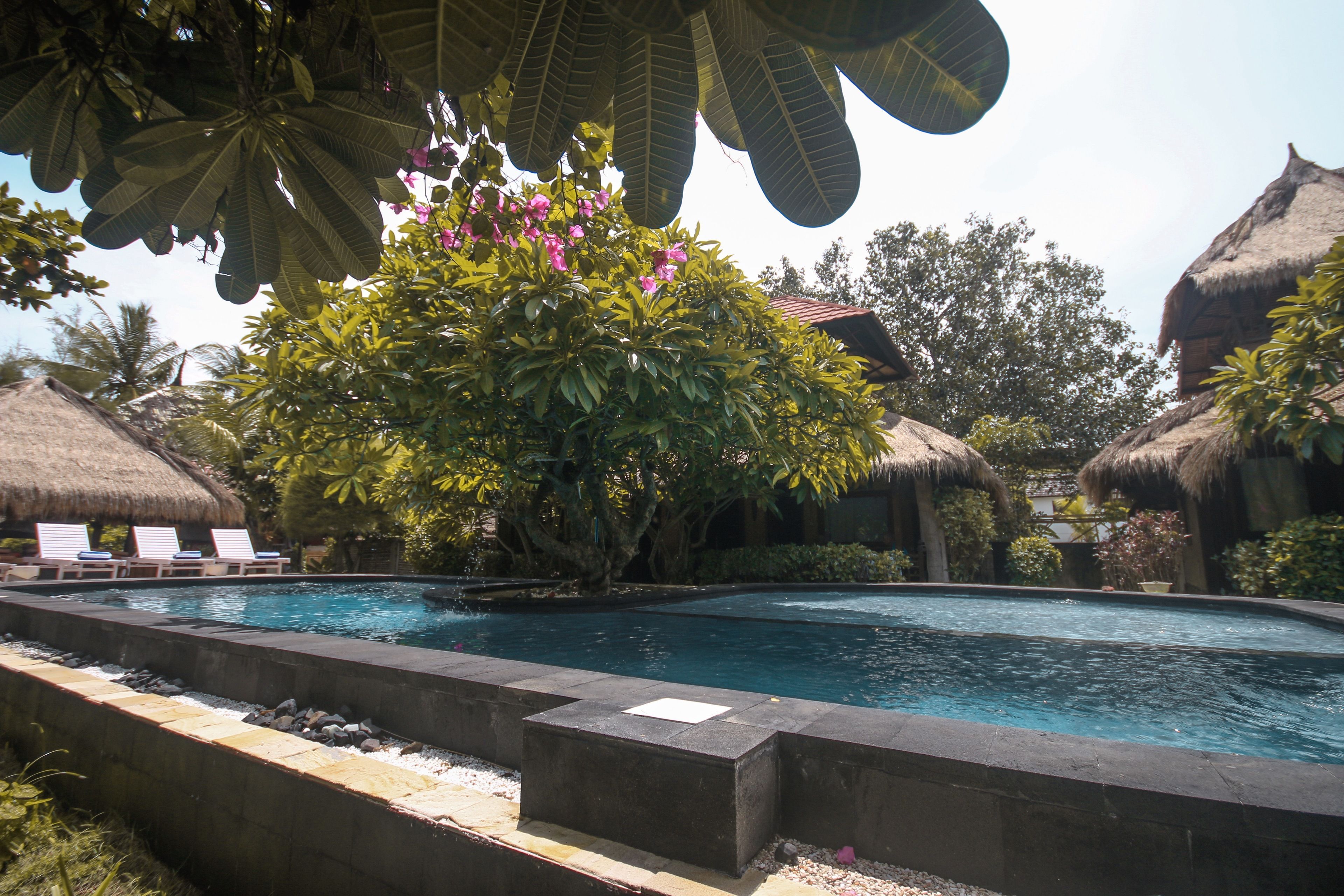 A pool area with lounge chairs, a thatched-roof structure, and lush greenery.