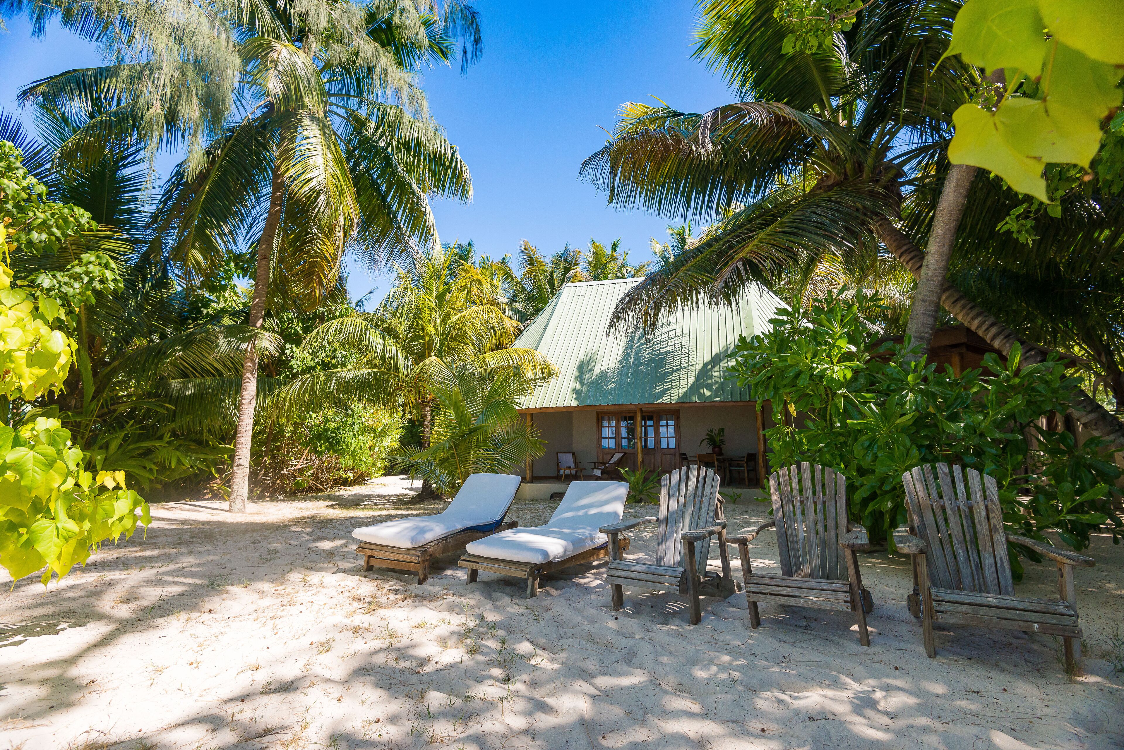 A beachside resort with lounge chairs and a wooden chair, surrounded by palm trees and a house with a green roof.